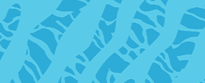 Banner azul