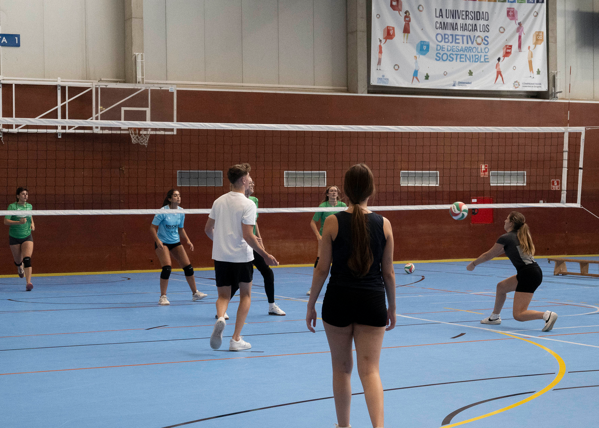 Voleibol