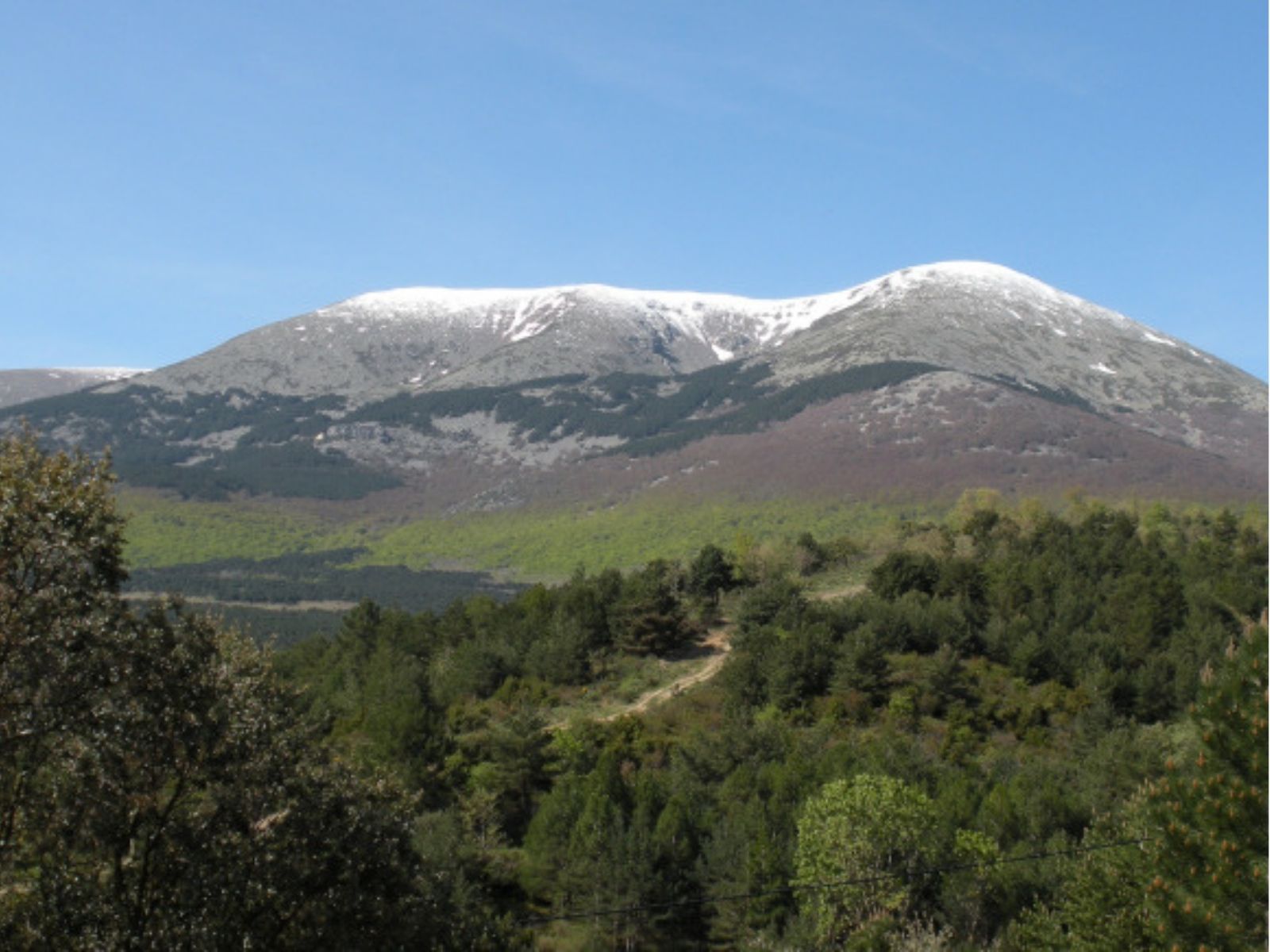 Moncayo 