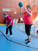 Gimnasia de Mantenimiento