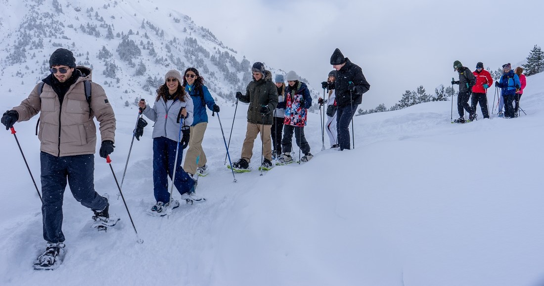 Actividad Nieve